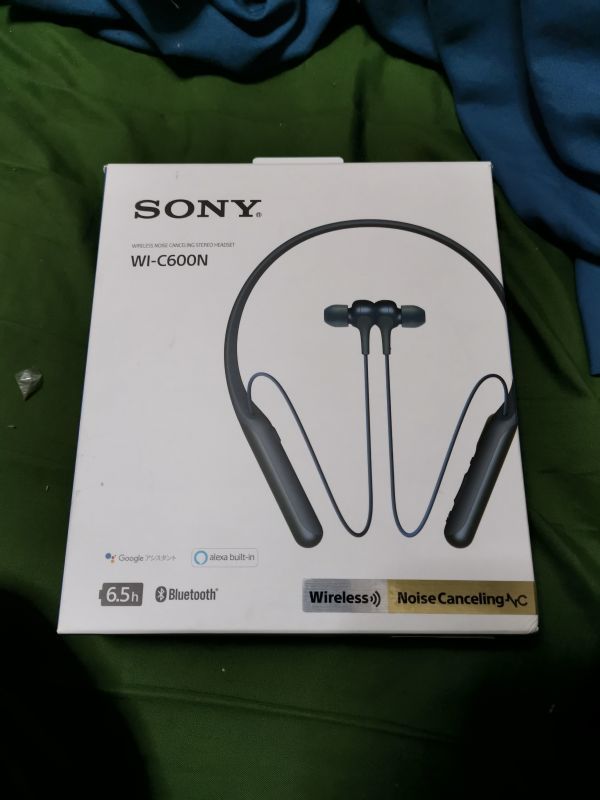 Sony WI-C600N Wireless Noise Cancelling Earphones, Bluetooth Compatible, Amazon Alexa Equipped, Model, Apt-x Compatible, 2019 Mode_画像2