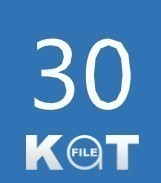 KatFile30日公式プレミアムクーポン　通常一分で即時発送　有効化期限なし買い置きにも　 親切サポート 必ず商品説明をお読み下さい。