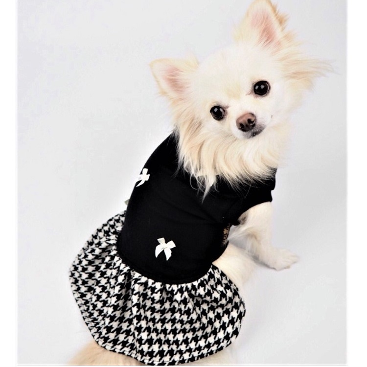  наличие один . ликвидация распродажа One-piece P25 P142 платье высшее маленький собака papi- миниатюрный собака маленький размер собака собака кошка домашнее животное одежда собака одежда кошка одежда собака. одежда кошка. одежда осень-зима осень одежда 