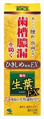世界的に有名な 生葉EX 小林製薬 歯磨き h-4987072038826 ...