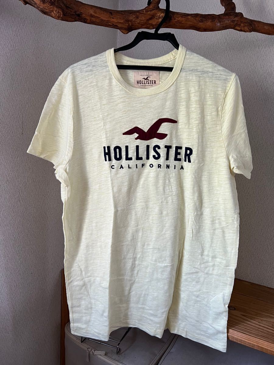 HOLLSTERの半袖Tシャツです。