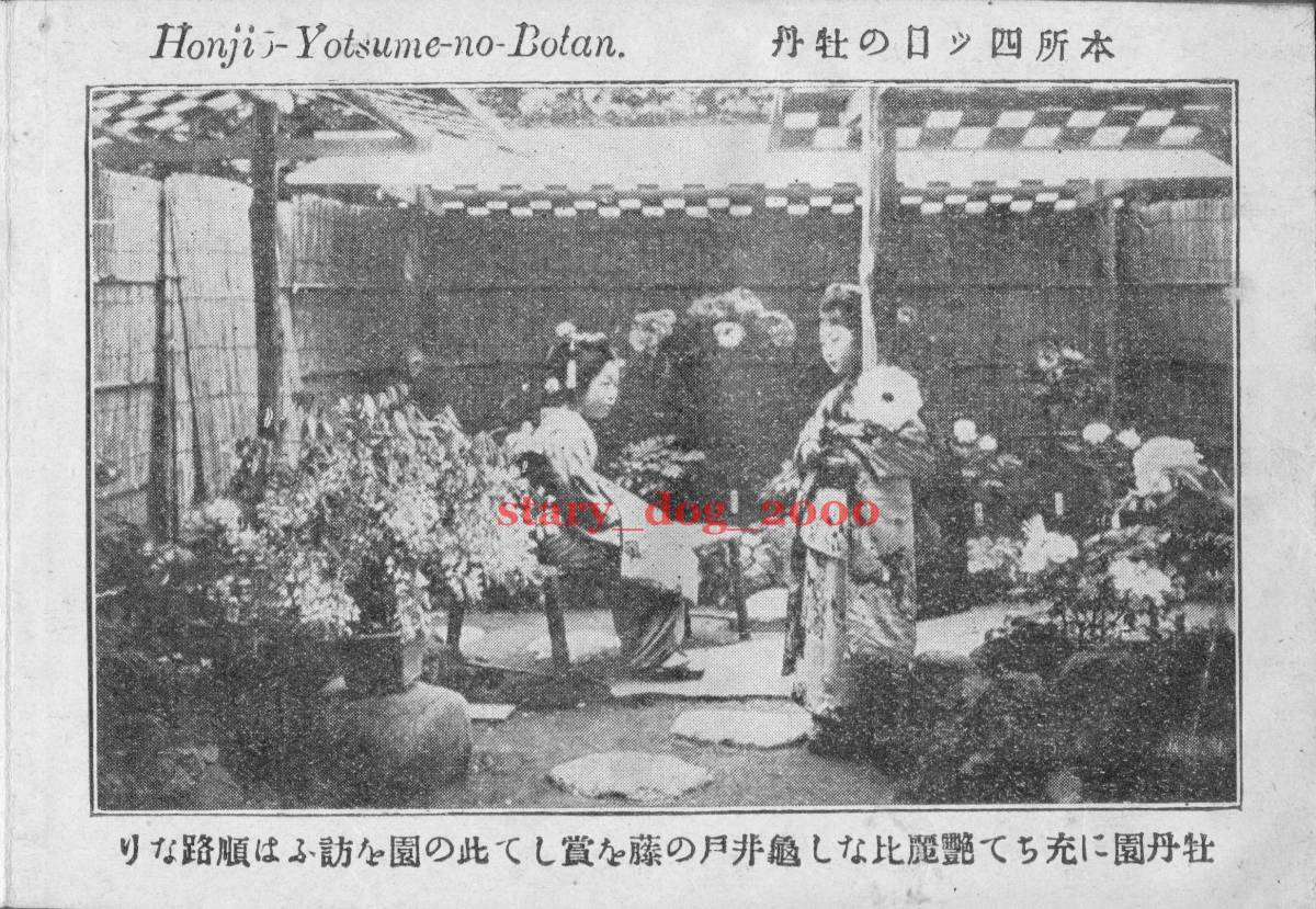 複製復刻 絵葉書/古写真 東京 本所四ツ目の牡丹 明治期 TMA_017_画像1