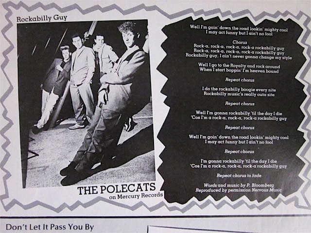 即決 ★ 1981年発行 絶版本 ★ 海外音楽誌 ★ STRAY CATS ストレイ キャッツ Polecats ネオロカ ロカビリー Adam and the Ants_Polecats (ポールキャッツ)