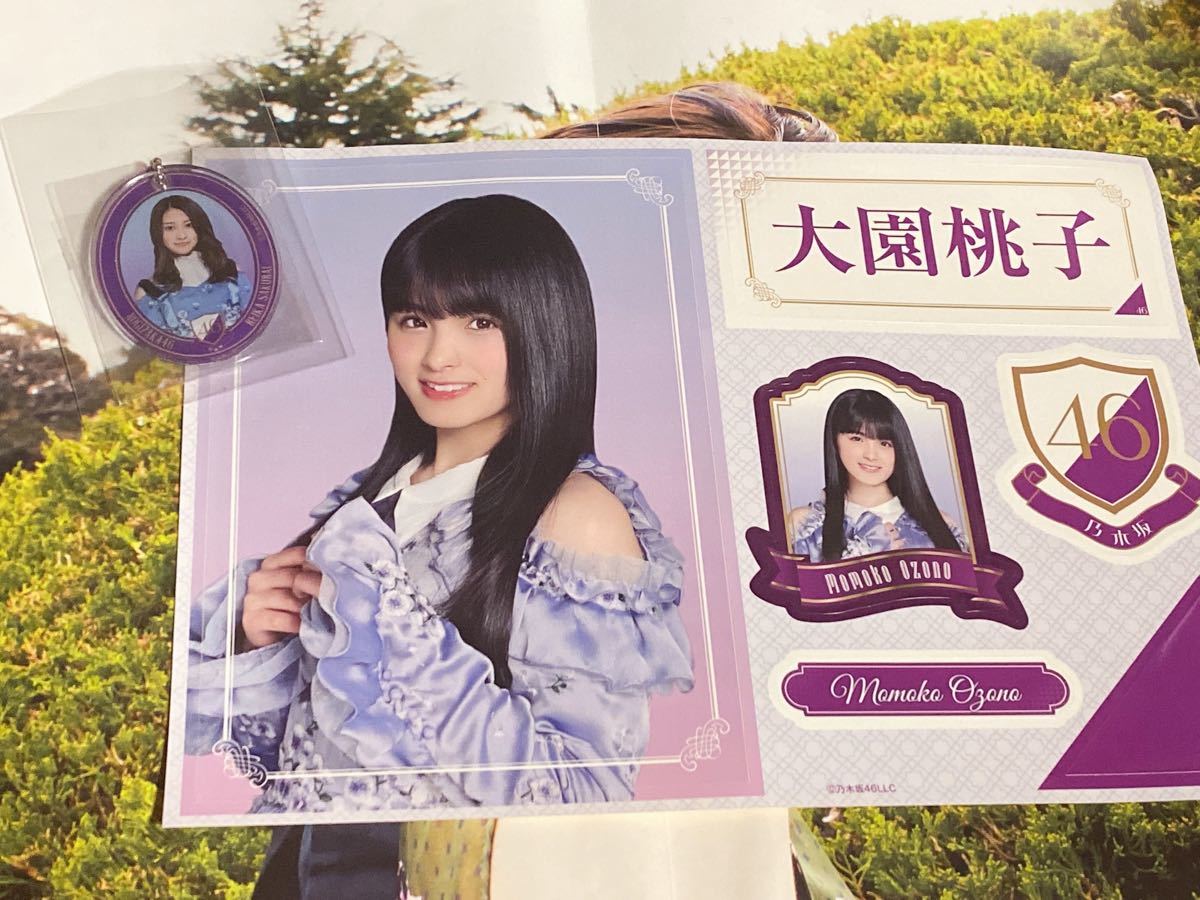 乃木坂46 日向坂46 櫻坂46 欅坂46 グッズ