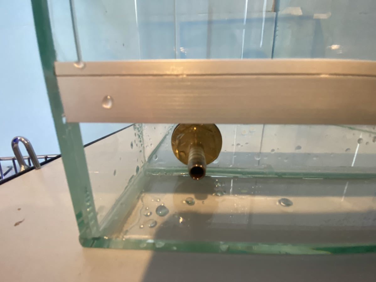 パルダリウム水槽 ガラス水槽 ヤドクガエル 熱帯植物 パルダリウムケージ 30cm 売買されたオークション情報 Yahooの商品情報をアーカイブ公開 オークファン Aucfan Com パルダリウム水槽 ガラス水槽 ヤドクガエル 熱帯植物 パルダリウムケージ 30cm 売買されたオークション情報 Yahooの商品情報をアーカイブ公開 オークファン Aucfan Com