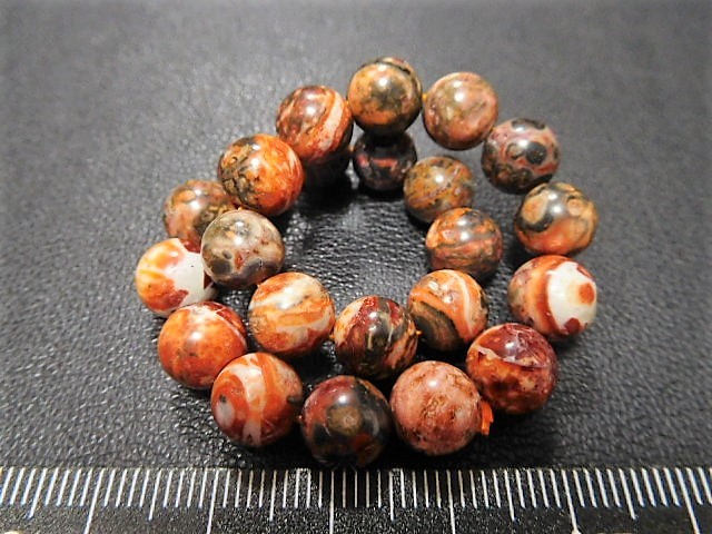 No.435 龍宮舎利 - 通販 - guianegro.com.br