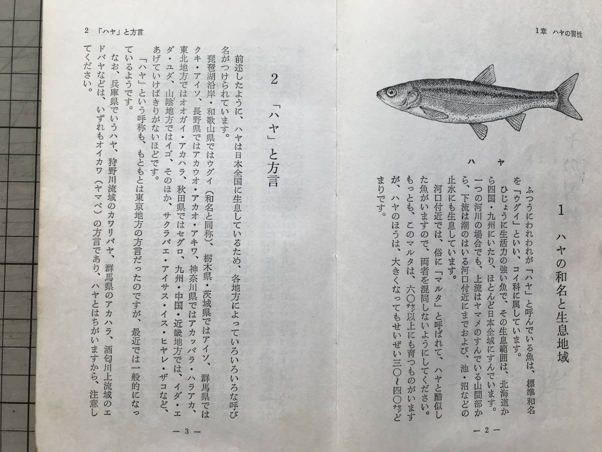 『Fishing ハヤ（鮠 和名ウグイ）フィッシング・シリーズ10』千葉春雄 西東社 1970年刊 ※習性・生息地域・方言・フカセ・蚊バリ 他 07421_画像3