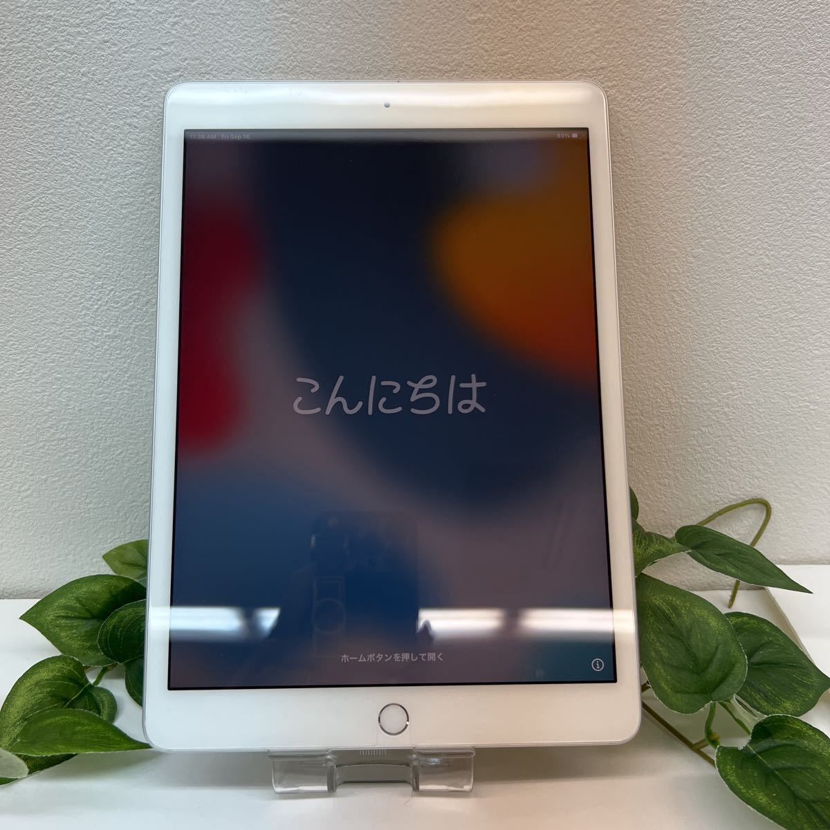 送料無料/新品】 【極美品】Apple 【極美品】Apple iPad 第5世代 Wi-Fi