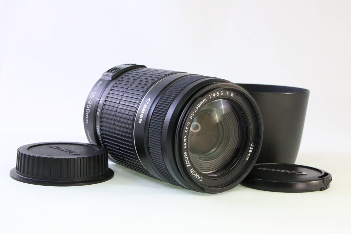 動作保証・点検済】極上品キヤノン Canon EF-S 55-250mm F4-5.6 IS II