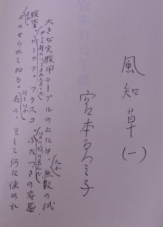 希少 昭和 宮本百合子 佐多稲子 現代文学大系 38 小説家 20220928 kskusk 202 0926_画像5