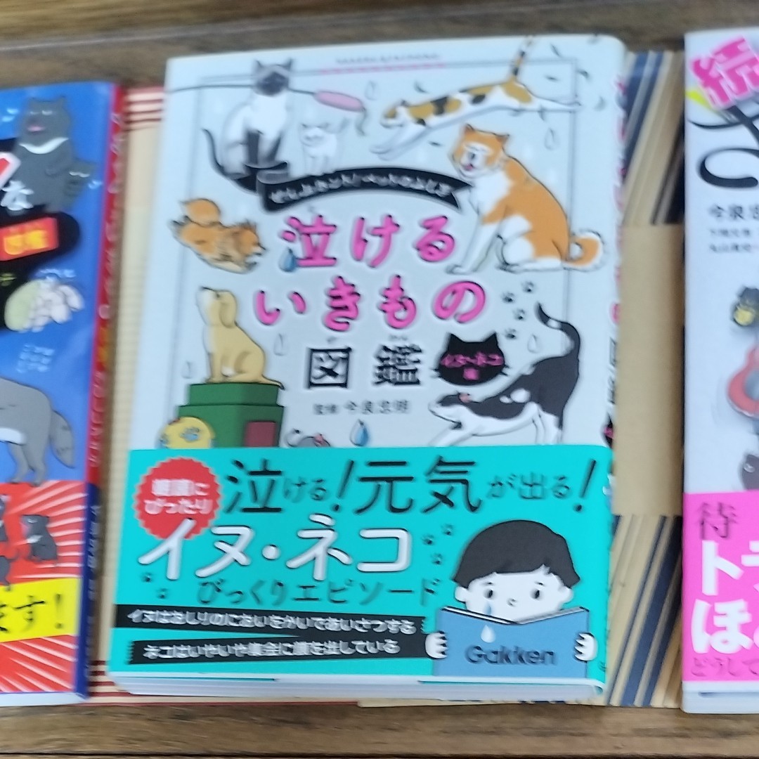 今泉忠明　続ざんねんないきもの事典　ブラックないきもの図鑑　泣けるいきもの図鑑　3冊