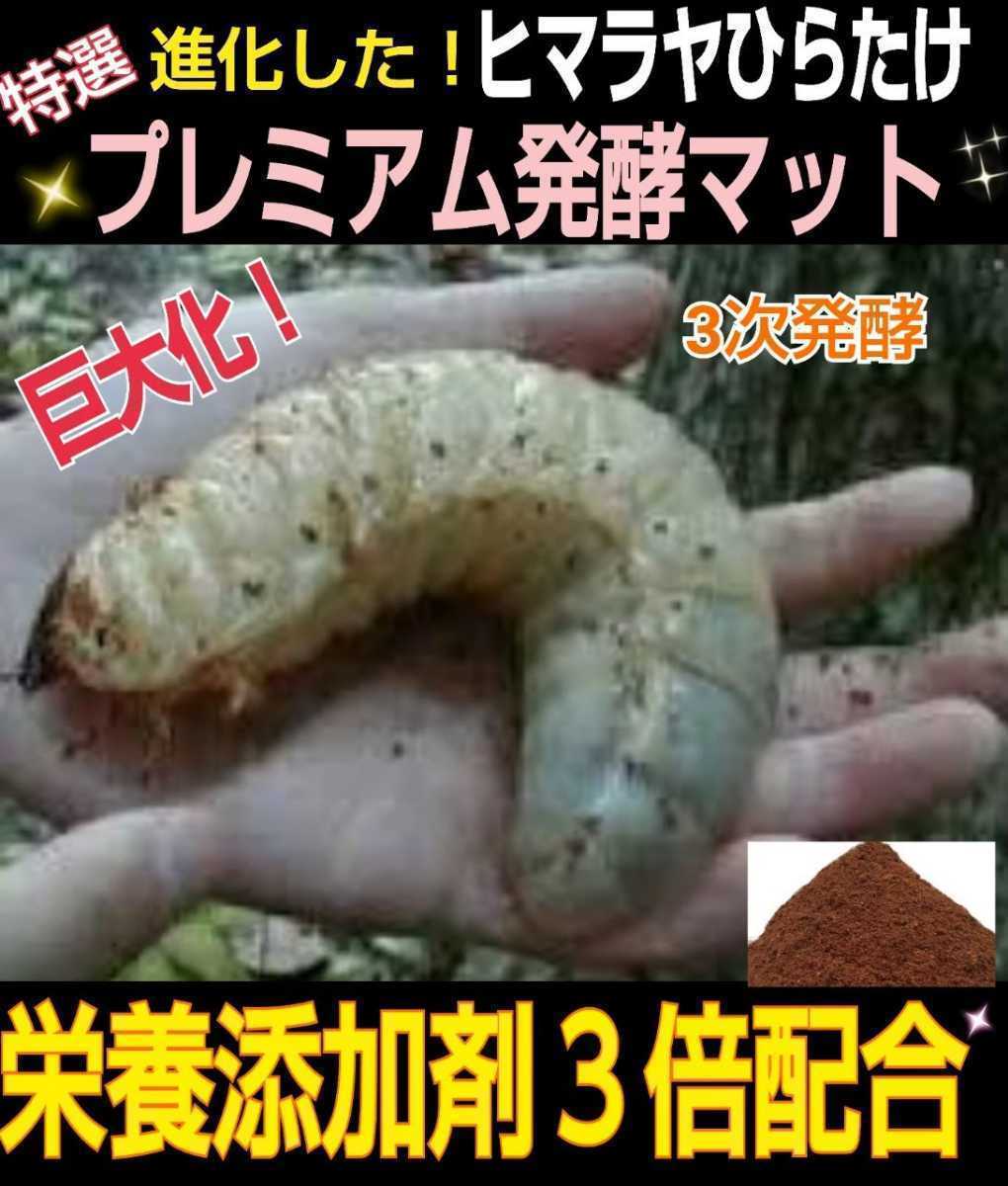  evolved! premium 3 next departure . rhinoceros beetle mat * special amino acid etc. nutrition addition agent .3 times combination!tore Hello s, royal jelly strengthen * the smallest particle finishing!