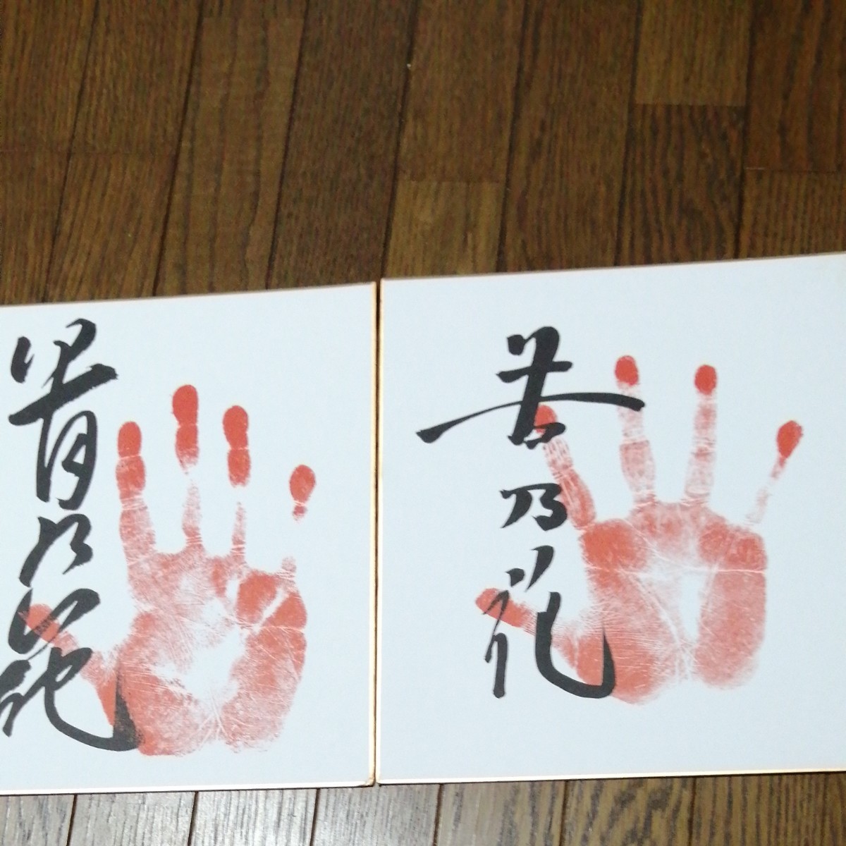 公式の店舗 若乃花貴乃花サイン色紙 nascd.edu.bd