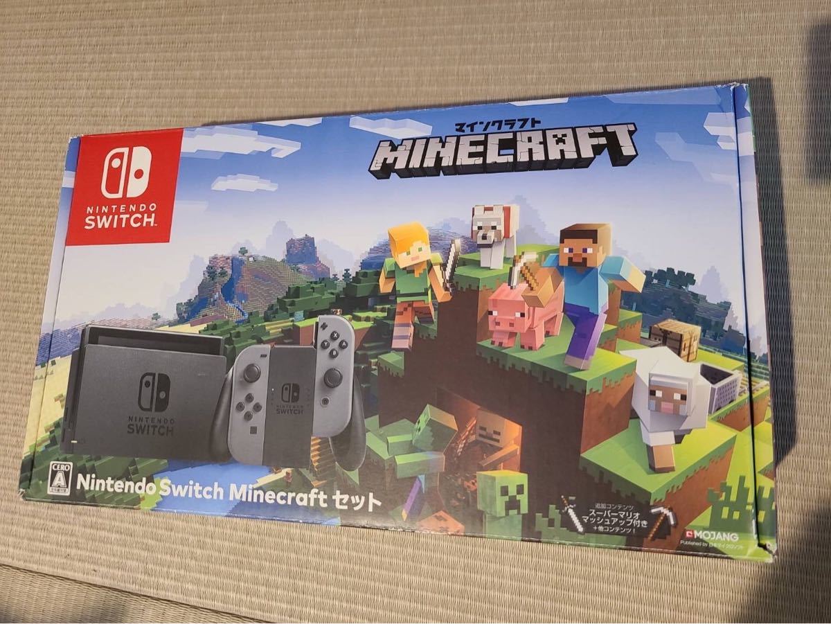 Nintendo Switch Minecraftセット　任天堂 スイッチ　マイクラセット　マインクラフトセット