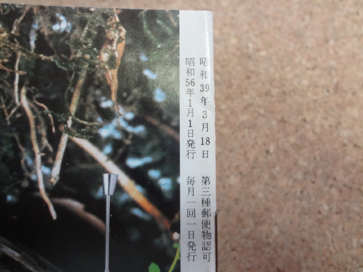 b★*　インセクタリウム　15冊セット　1979年10月号～1981年1月号 (不揃い)　編:多摩動物公園昆虫愛好会　発行:東京動物園協会　/b35_画像5