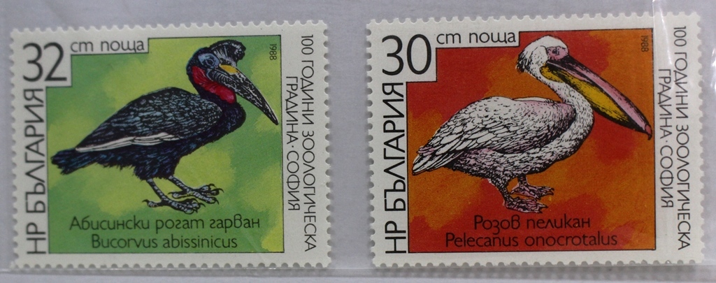 海外切手　ブルガリア共和国　鳥切手　ペリカン　１９８８年　　F.2_画像1