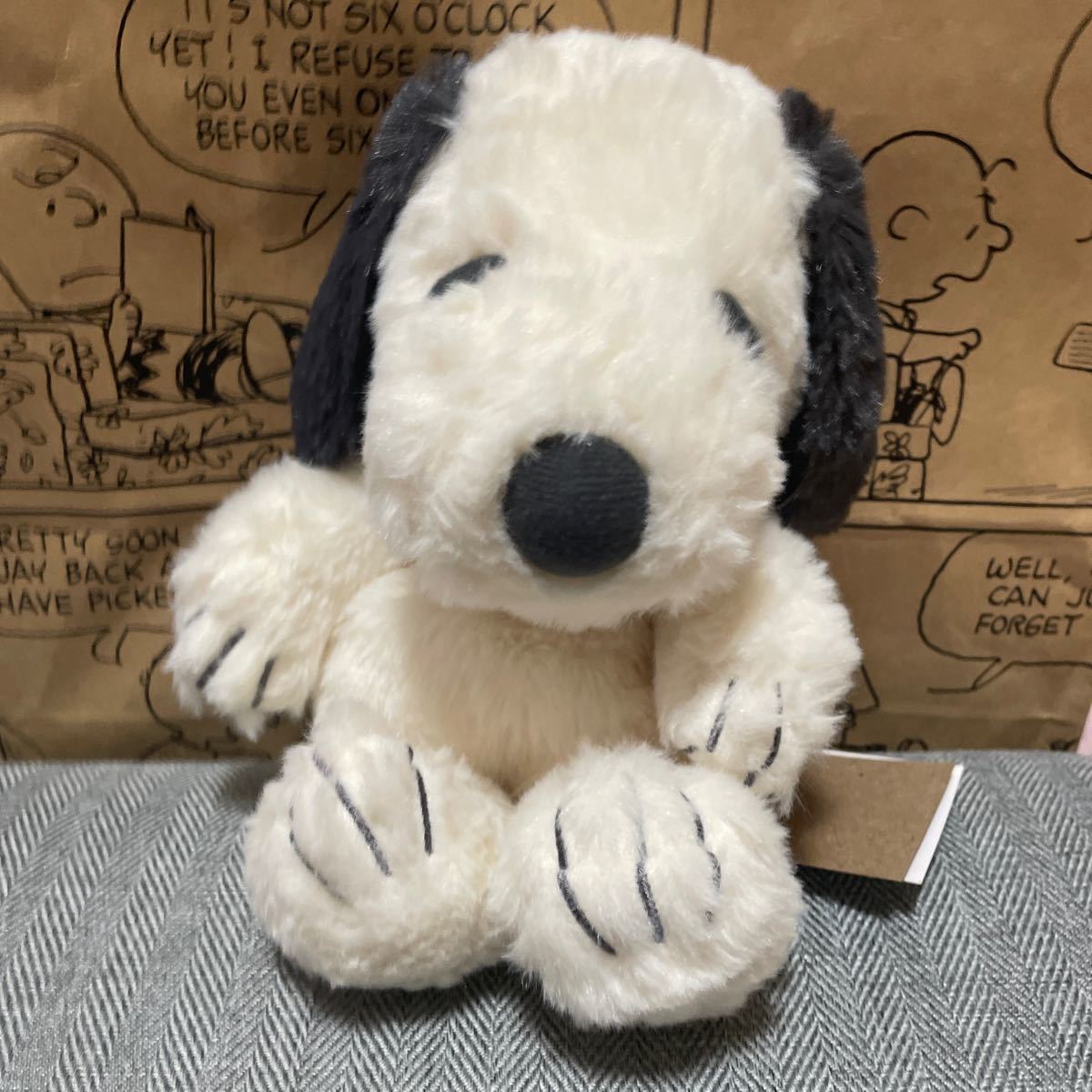 SNOOPY MUSEUM ONLINE STORE