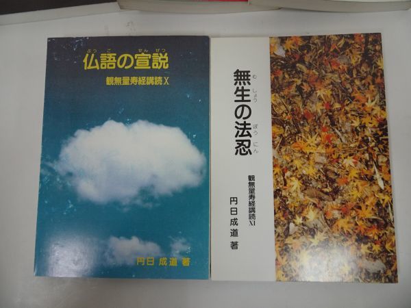 ★永田文昌堂【観無量寿経講読　5冊】円日成道 /光台の現国 ・父母の考養・浄業の正因・仏語の宣説・無生の法忍_画像7