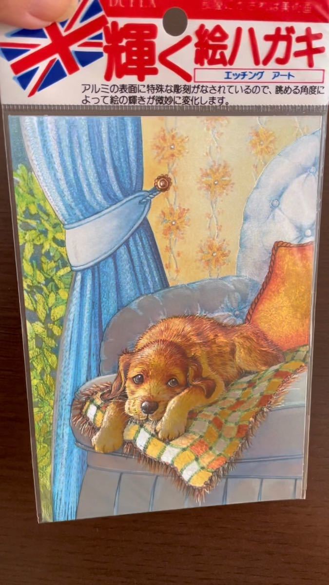 【新品】英国製 輝く 絵はがき ポストカード 犬 dog