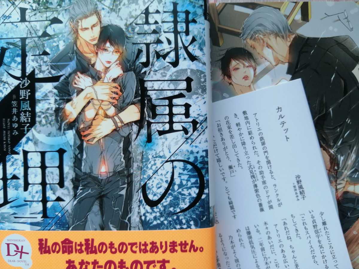隷属の定理 イラストカード ペーパー付 沙野風結子 笠井あゆみ 新刊bl ディアプラス文庫 文庫 売買されたオークション情報 Yahooの商品情報をアーカイブ公開 オークファン Aucfan Com 隷属の定理 イラストカード ペーパー付 沙野風結子 笠井あゆみ 新刊bl ディアプラス文庫 文庫 売買されたオークション情報 Yahooの商品情報をアーカイブ公開 オークファン Aucfan Com