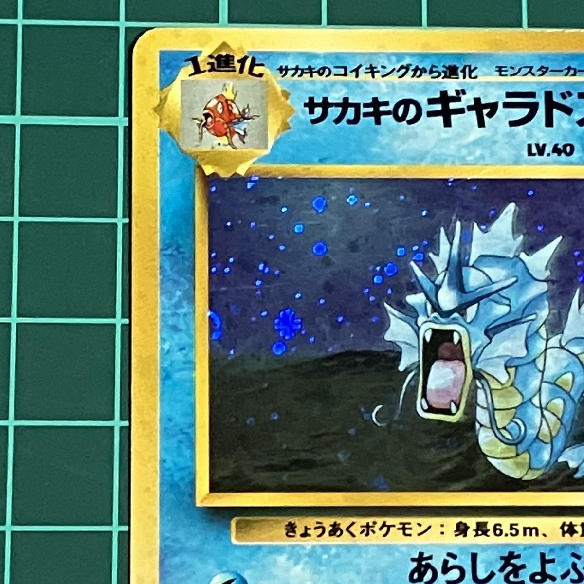 旧裏 サカキのギャラドス 水タイプ No 130 ポケモンカード ポケカ りゅうのたつまき シングルカード 売買されたオークション情報 Yahooの商品情報をアーカイブ公開 オークファン Aucfan Com 旧裏 サカキのギャラドス 水タイプ No 130 ポケモンカード ポケカ りゅうのたつまき シングルカード 売買されたオークション情報 Yahooの商品情報をアーカイブ公開 オークファン Aucfan Com