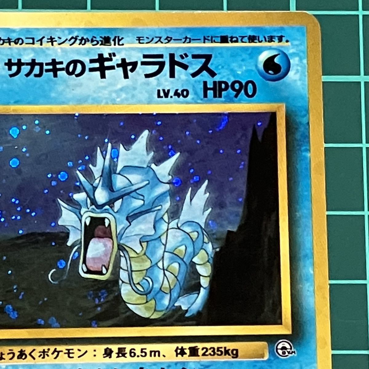 旧裏 サカキのギャラドス 水タイプ No 130 ポケモンカード ポケカ りゅうのたつまき シングルカード 売買されたオークション情報 Yahooの商品情報をアーカイブ公開 オークファン Aucfan Com 旧裏 サカキのギャラドス 水タイプ No 130 ポケモンカード ポケカ りゅうのたつまき シングルカード 売買されたオークション情報 Yahooの商品情報をアーカイブ公開 オークファン Aucfan Com