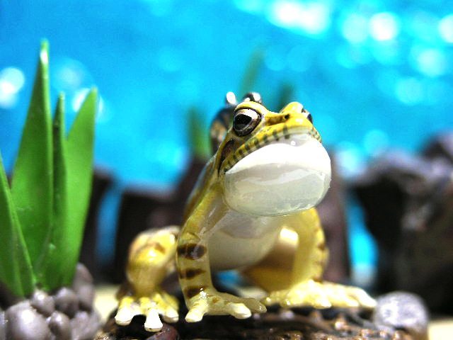 * amphibia strap for mobile phone ryu float .ukajikaga L X.. Kawai i. strap * pet zoo accessory 
