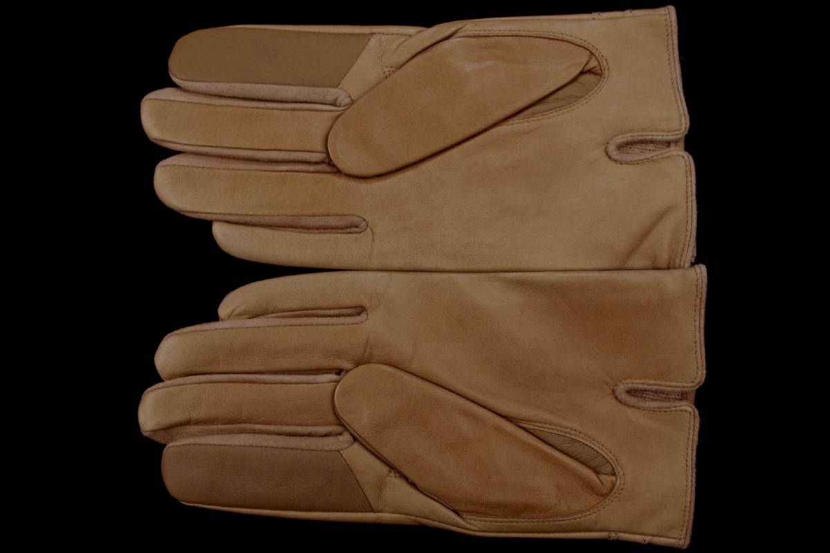  prompt decision * Lanvin LANVIN COLLECTION for man gloves (L/25cm)N25 new goods 