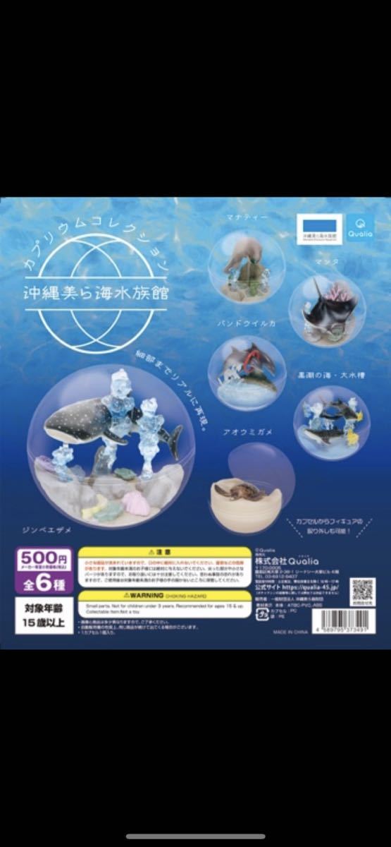 カプリウムコレクション　美ら海水族館　限定　全6種セット　ガチャ　フィギュア　アオウミガメ　ジンベエザメ　宅急便のみ対応