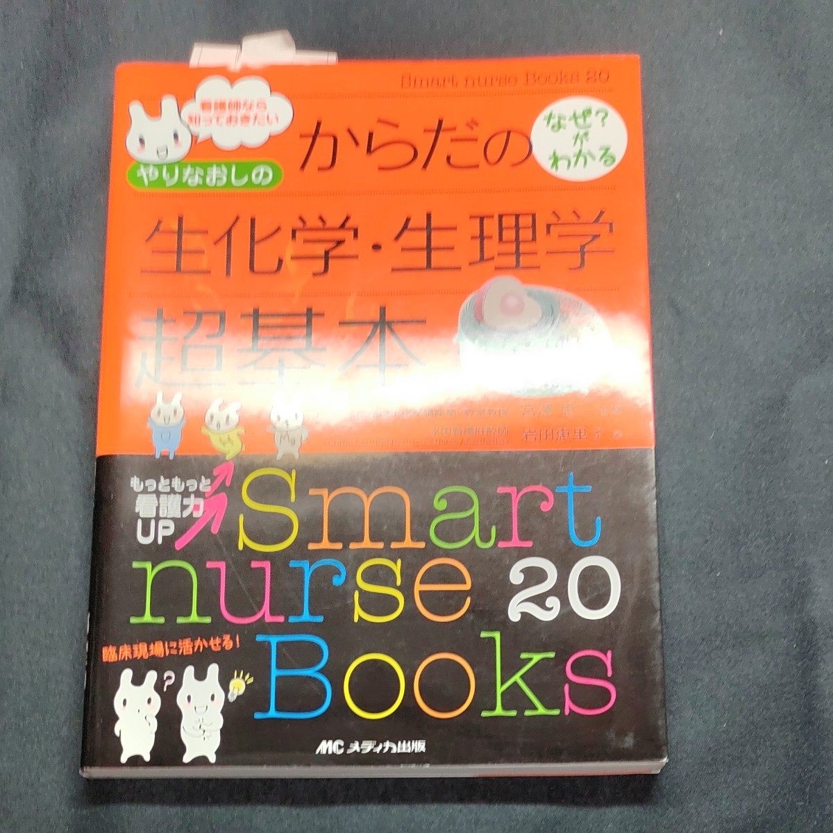 やりなおしのからだのなぜ？がわかる生化学・生理学超基本　看護師なら知っておきたい  宮澤恵二／監修　岩田恵里子／著