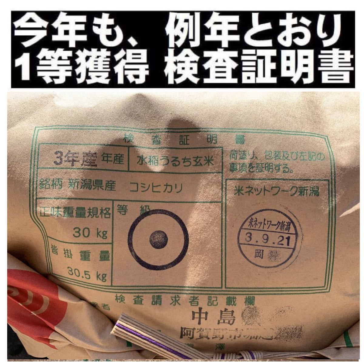 新米・令和4年産 新潟 新之助 白米5kg4個☆農家直送☆色彩選別済021 ...