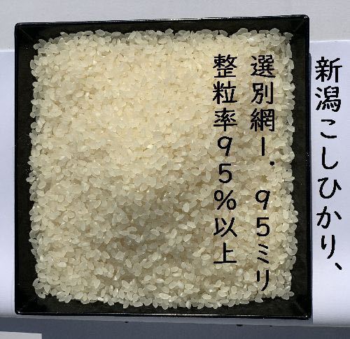 新米・令和4年産 新潟 新之助 白米5kg4個☆農家直送☆色彩選別済021 ...