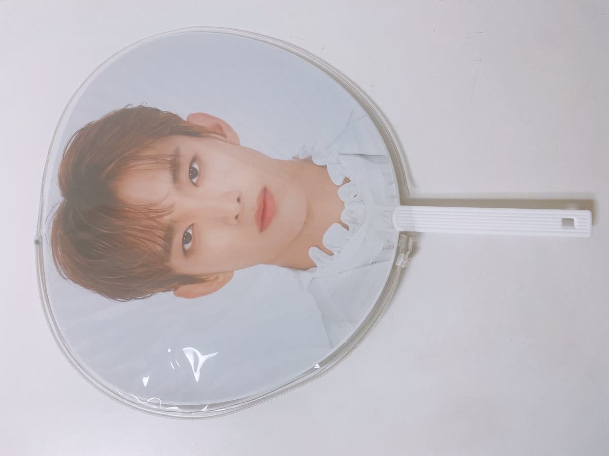 セブチ ドギョム うちわ ドーム SVT SEVENTEEN DK ソクミン セブチ ドギョム うちわ ドーム SVT SEVENTEEN DK ソクミン