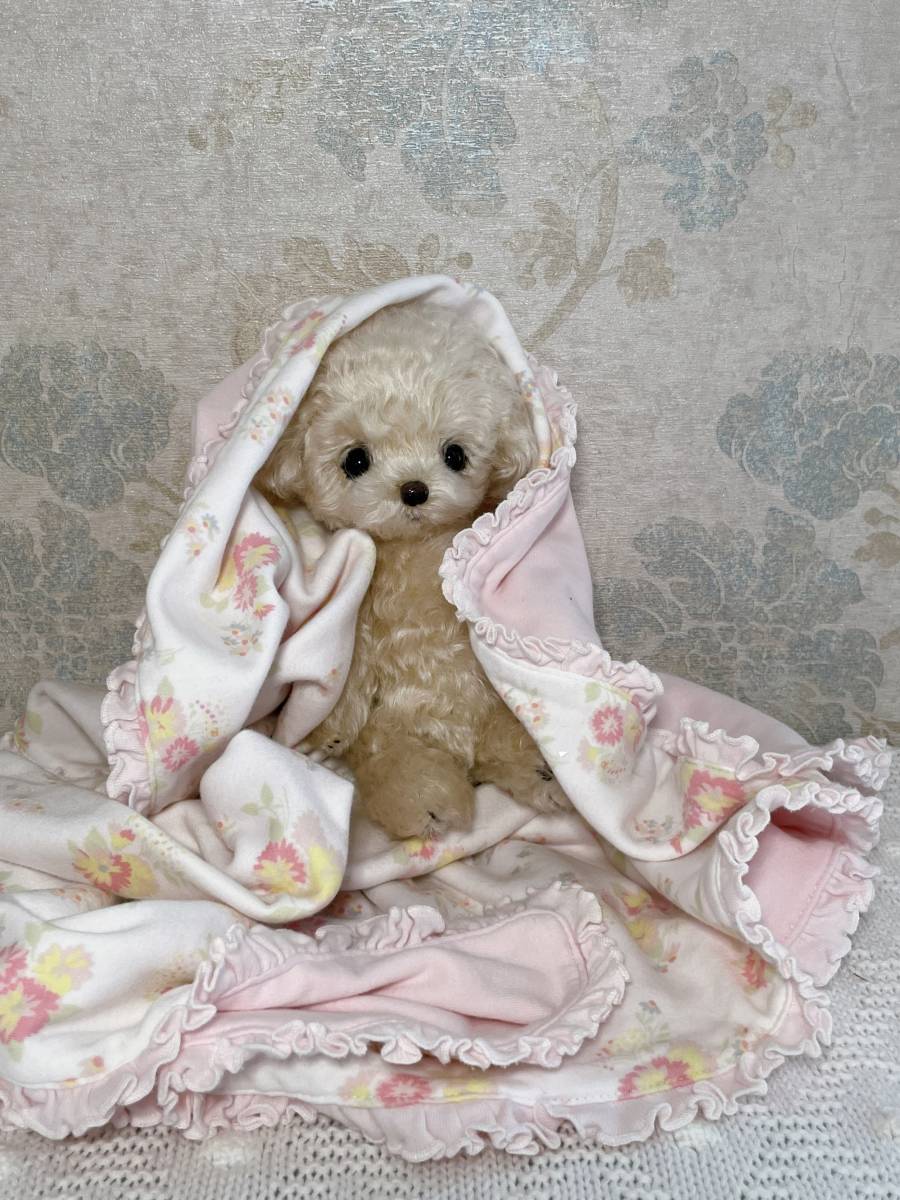 トイプードル ぬいぐるみ テディベア テディわんこ 犬 アート トイプードル ぬいぐるみ テディベア テディわんこ 犬 アート