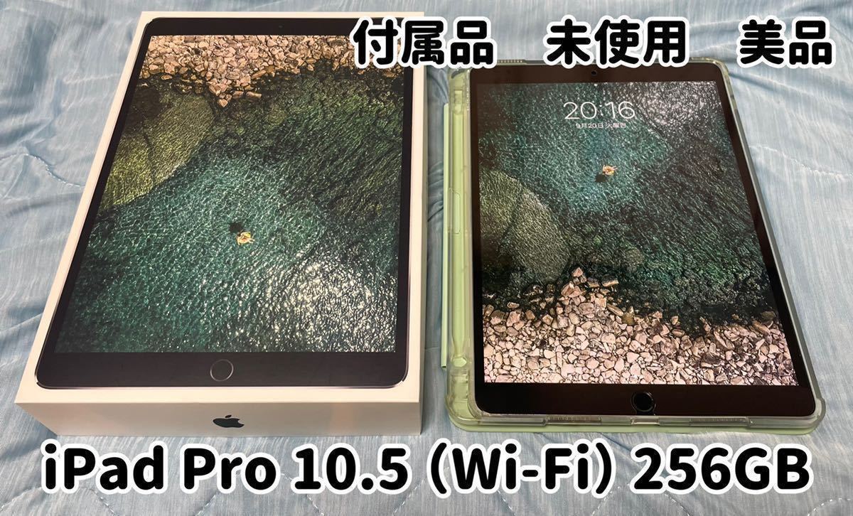 美品】 iPad Pro 10.5 inch 256GB（第2世代）Wi-Fi モデル スペース