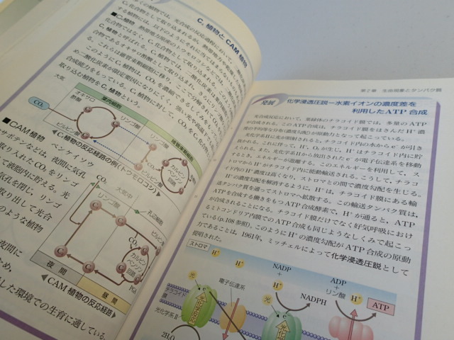 生物II 改訂 第一学習社/高等学校理科用 教科書■平成23年発行の画像7
