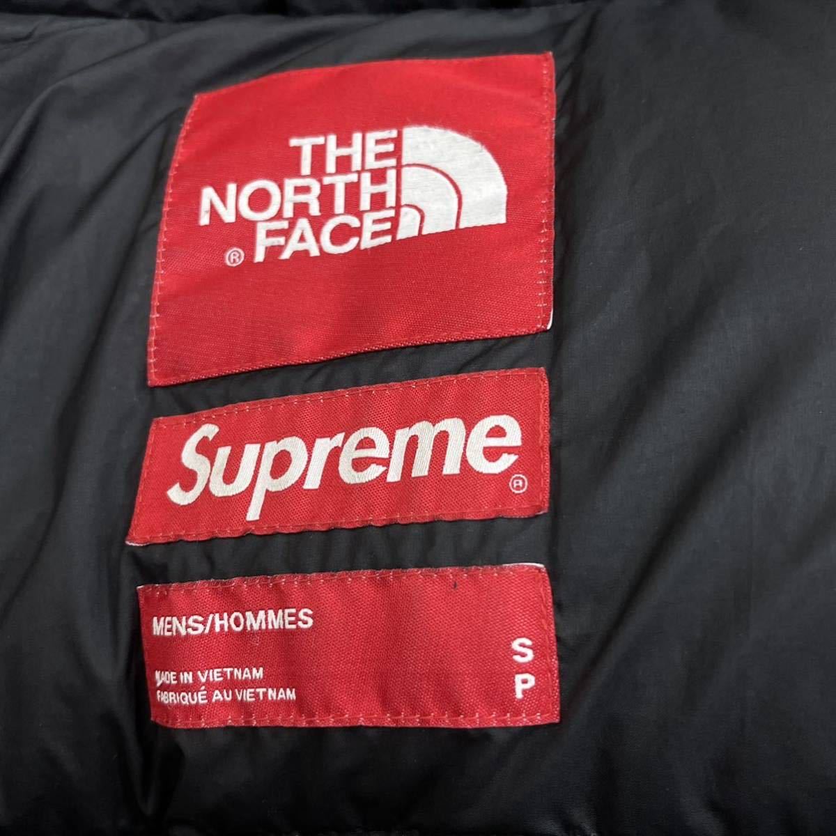 Supreme 19AW The North Face Statue of Liberty Baltoro Jacket
