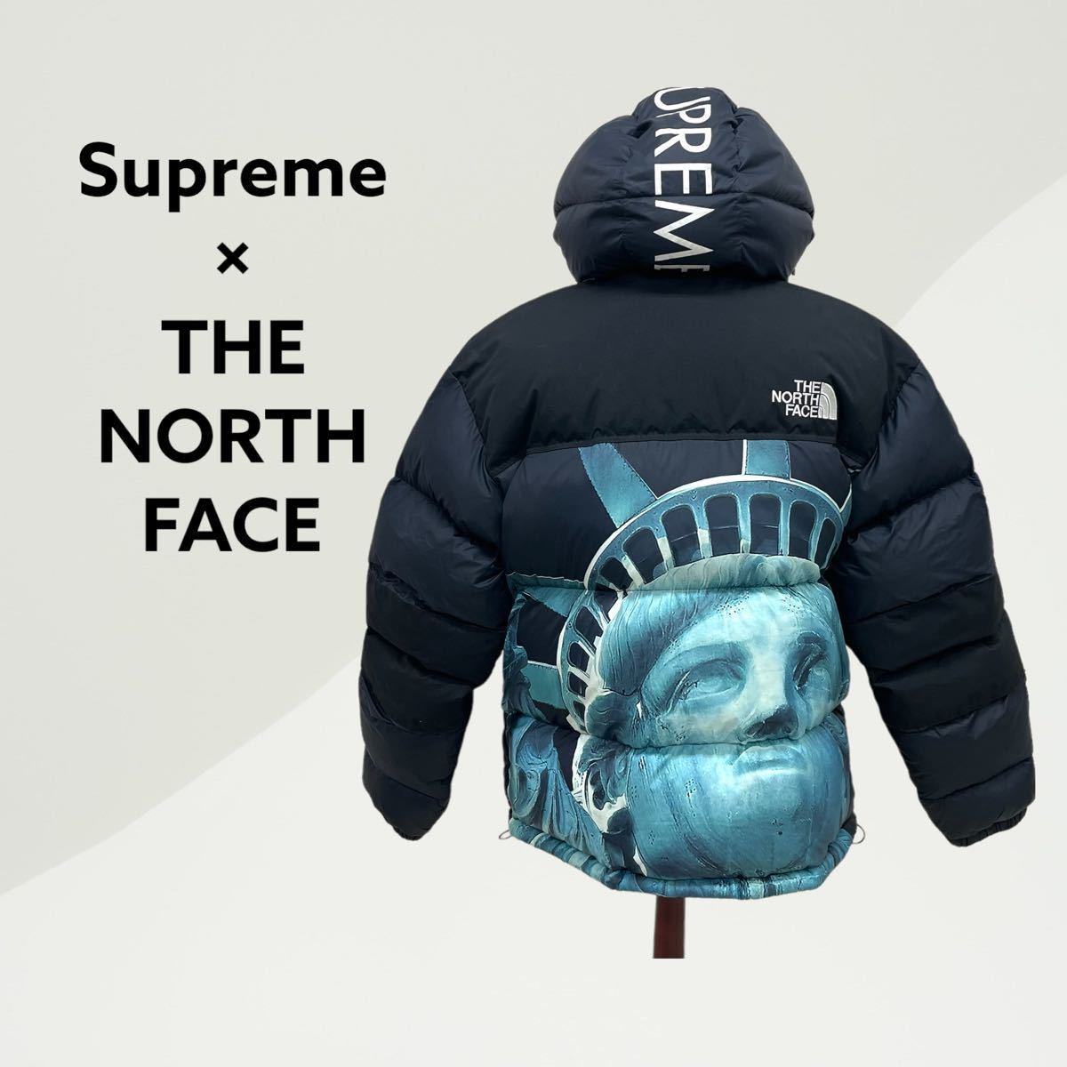 Supreme 19AW The North Face Statue of Liberty Baltoro Jacket シュプリーム ノースフェイス 自由の女神 バルトロ ダウンジャケット_画像2