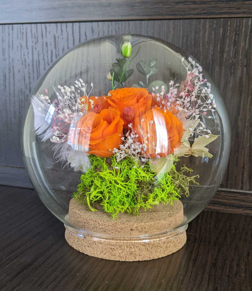  консервированный цветок стекло купол организовать 
