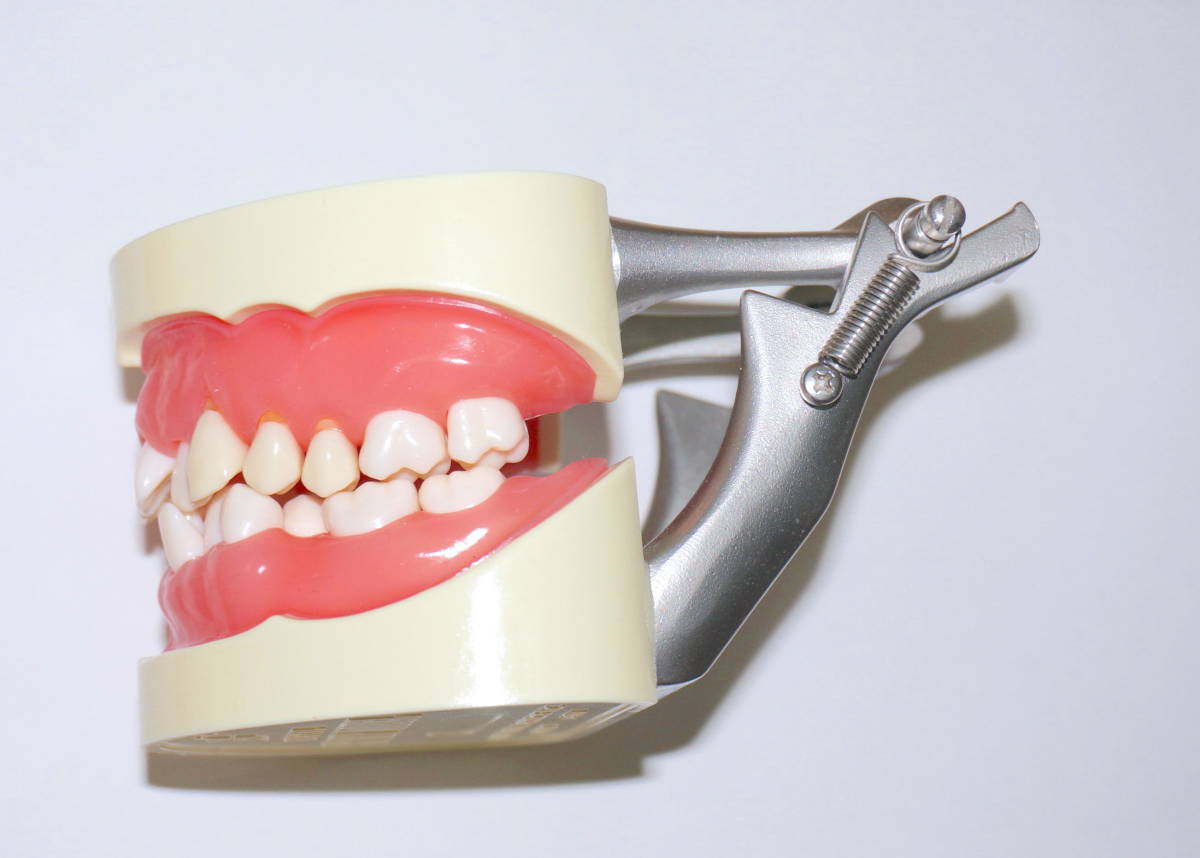  brush teeth guidance . model PE-STP001 tooth . model tooth . sanitation . sample sample .. vessel ske-la-b lashing puller k control tooth ...2