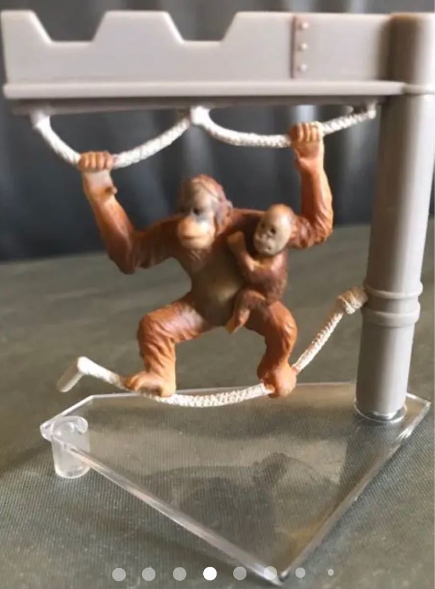 海洋堂 旭山動物園フィギュア全5種+オマケ 海洋堂|Yahoo 海洋堂 旭山動物園フィギュア全5種+オマケ 海洋堂|Yahoo