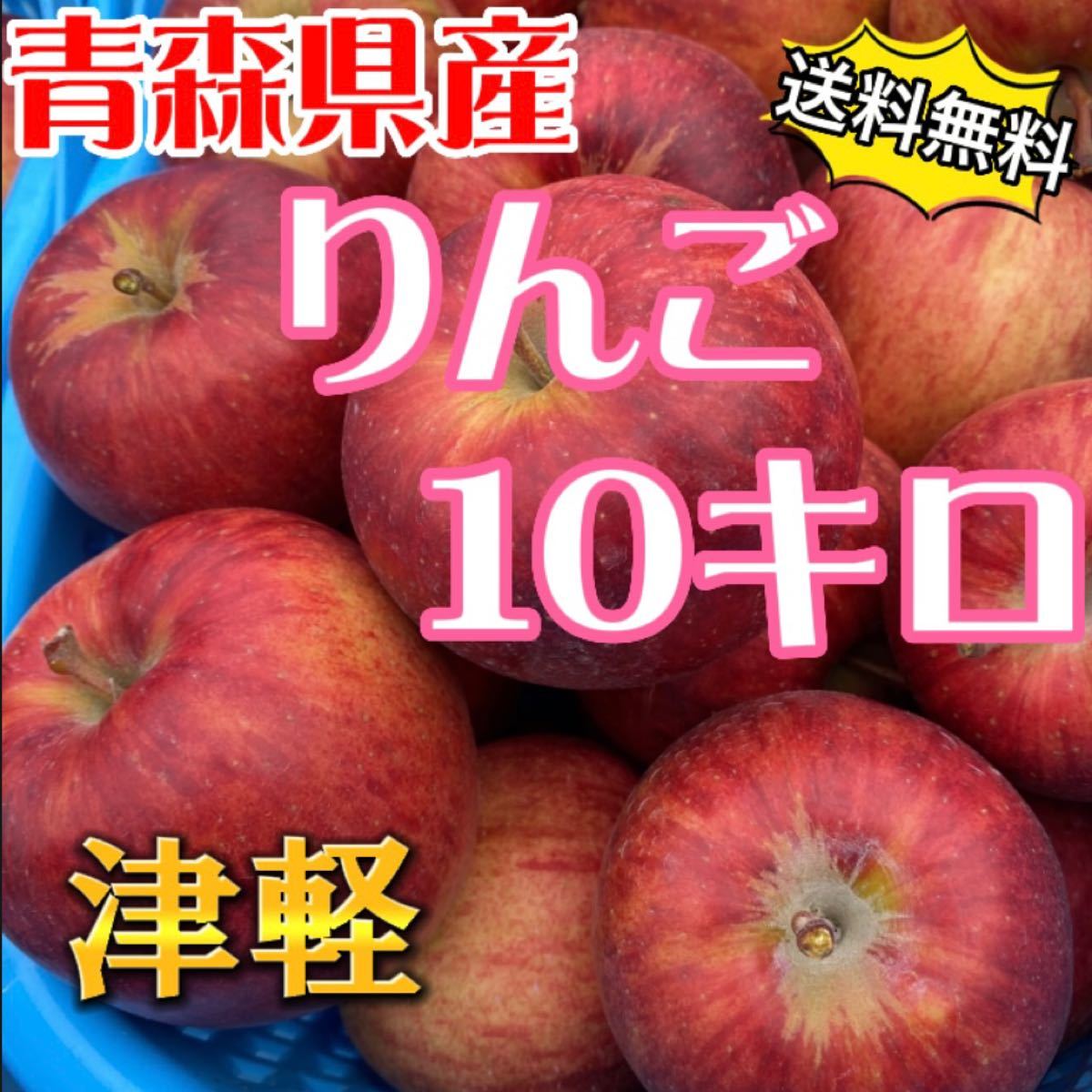 ③秋映　摘果りんご　5キロ