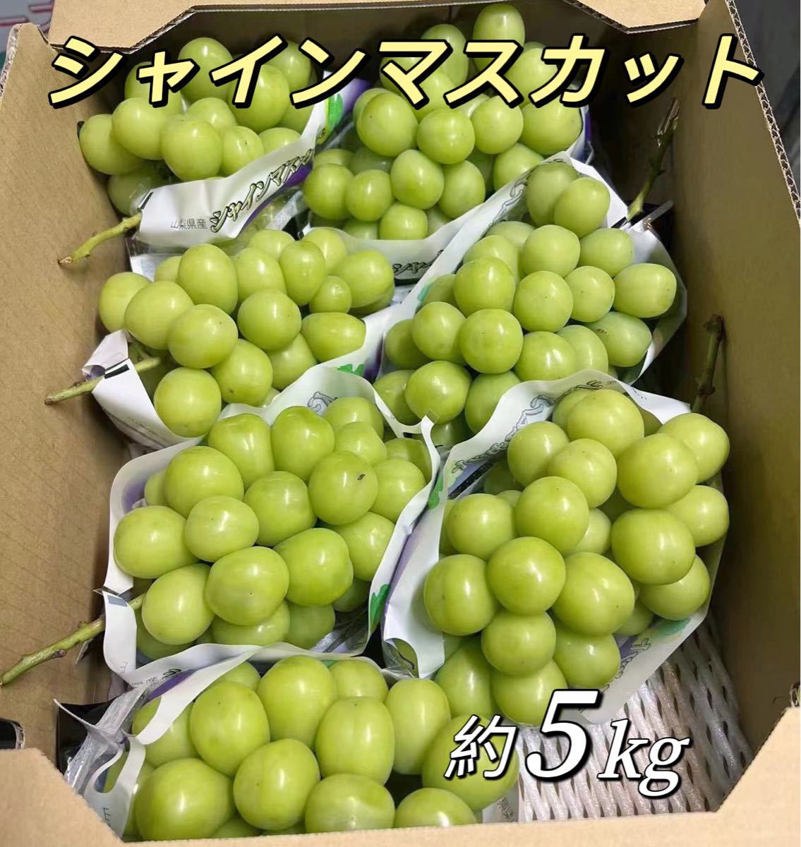 シャインマスカット 約5kg 7房〜11房 ぶどう-