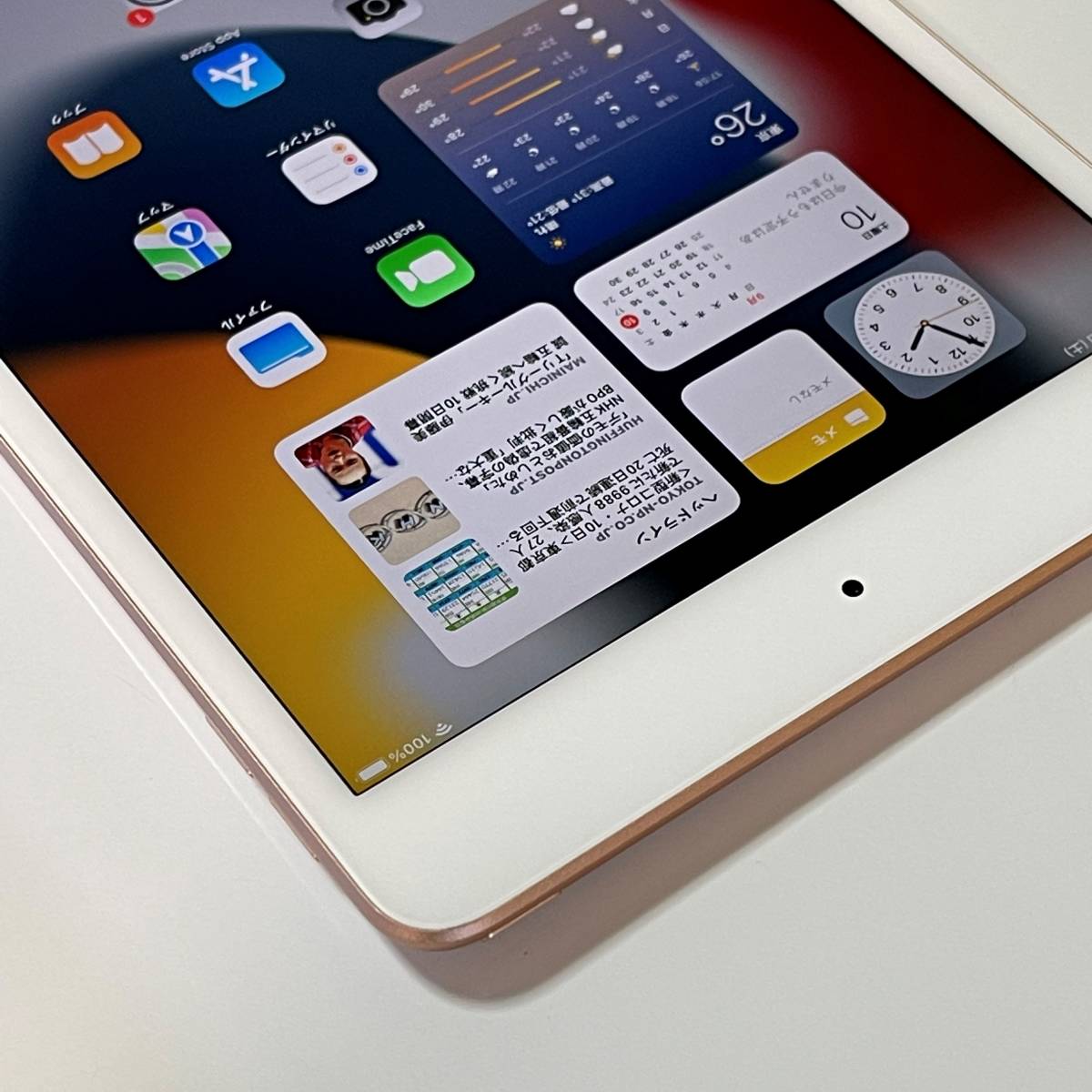 14時までの注文で即日配送 アップル iPad mini 第5世代 Wi-Fi 64GB