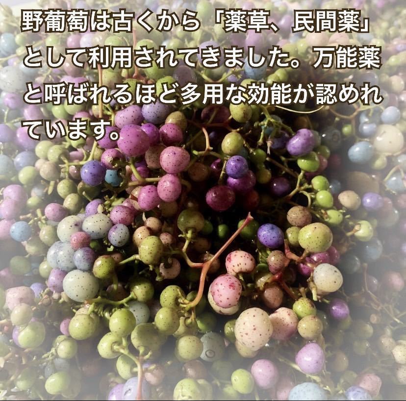 無農薬天然】馬葡萄 大容量3kg ブスの実 野葡萄 うまぶどう 薬 無農薬天然】馬葡萄 大容量3kg ブスの実 野葡萄 うまぶどう 薬