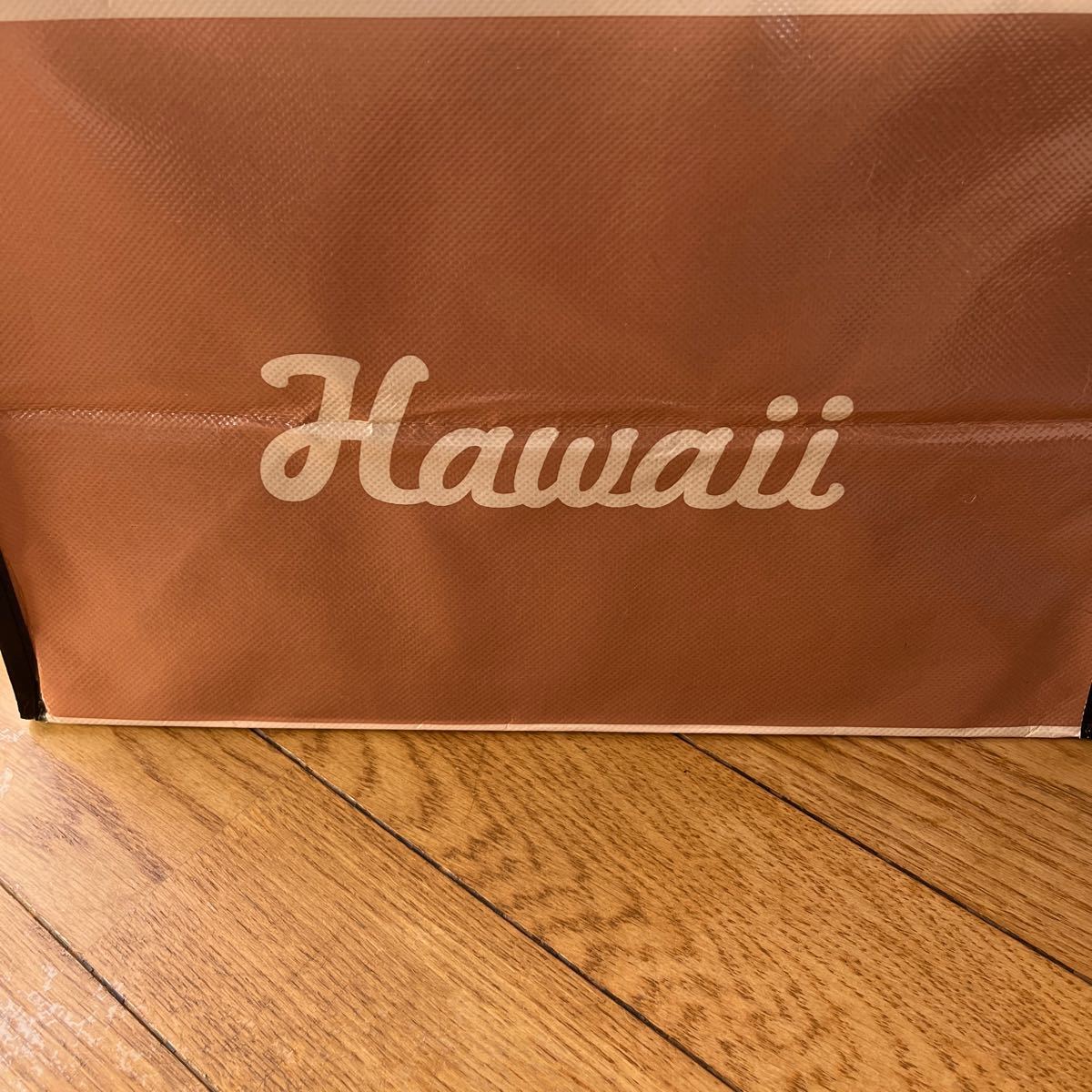 Hawaii限定！日焼けドラえもんエコバッグ