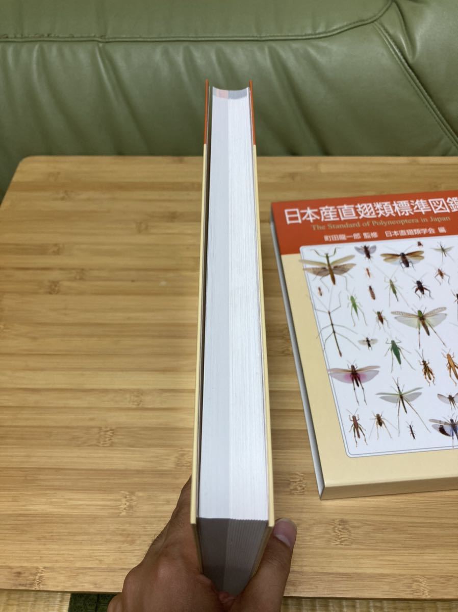分類学 (生物学)