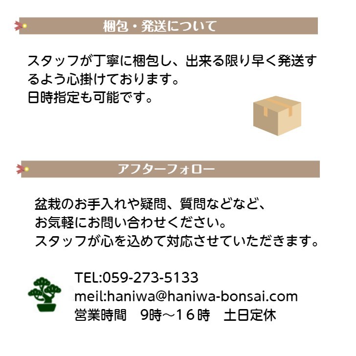 盆栽鉢 正志 古本正志 雲足 外縁 丸鉢 蟹 釉薬 観賞用 現品 新品 3