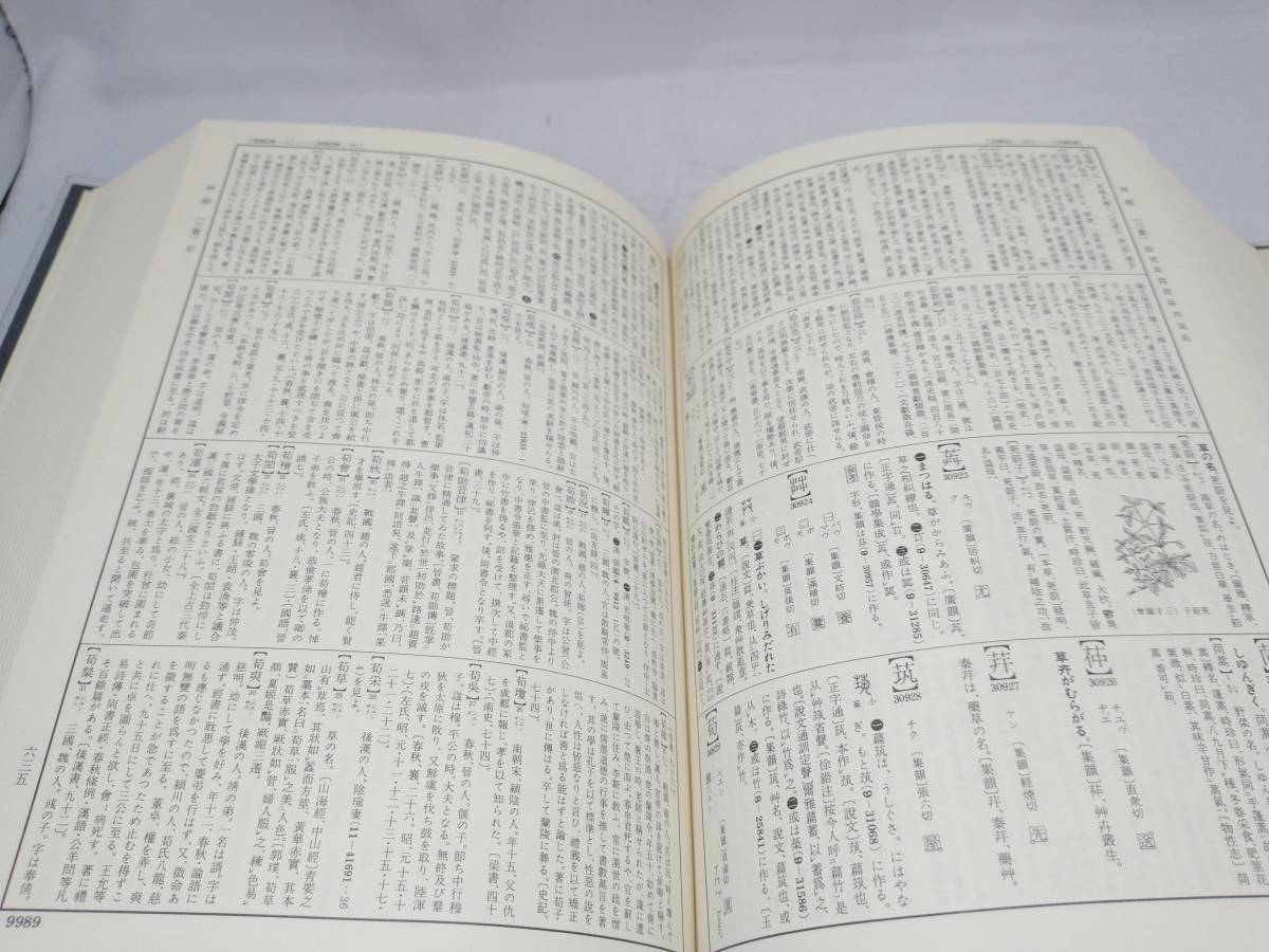 大漢和辞典九巻　大修館書店　諸橋轍次著_画像4