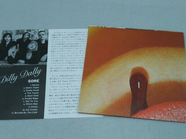 帯あり ディリー・ダリー CD ソアー_画像4